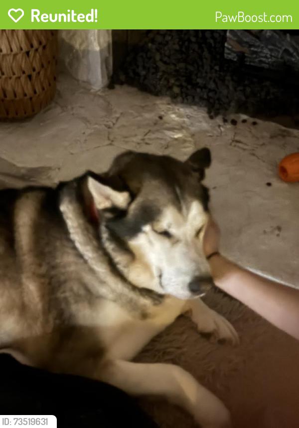 Reunited Male Dog last seen Near Mitchell Ct, Marietta, GA 30062, USA, Marietta, GA 30062
