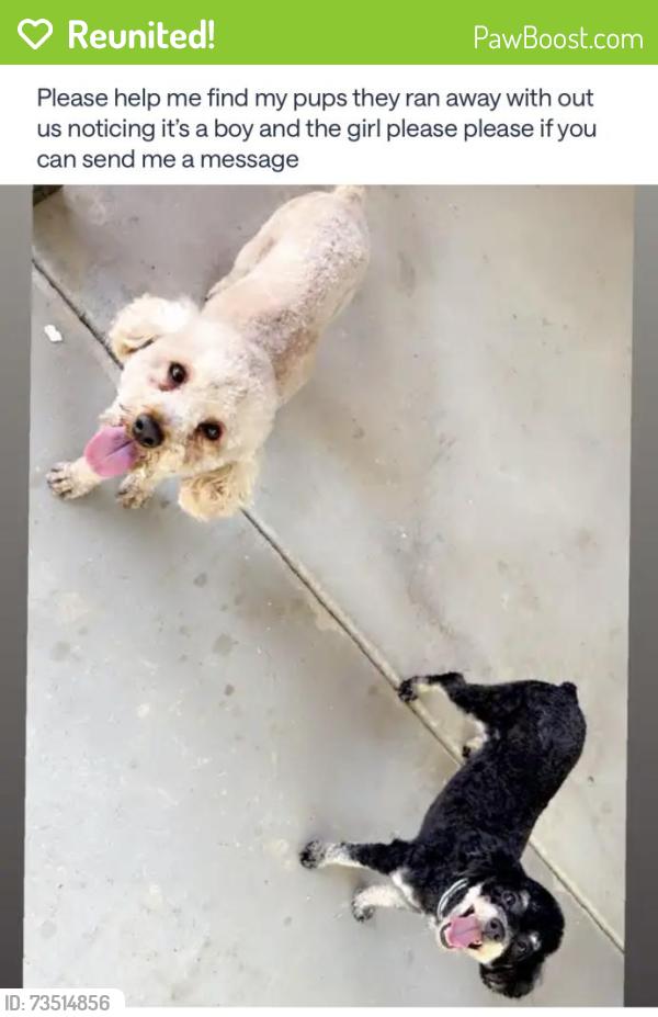 Reunited Female Dog last seen County center, Visalia, CA 93291
