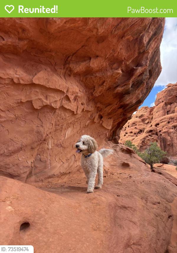 Reunited Female Dog last seen Orem Elementary, Orem, UT 84058