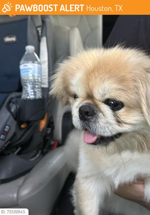 Found/Stray Male Dog last seen Watermill, Houston, TX 77429
