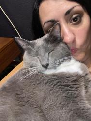 Lost Male Cat last seen Lawrence Elementary, Mesquite, TX 75150