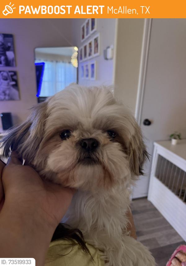 Found/Stray Female Dog last seen Near st and Nolana, McAllen, TX 78501