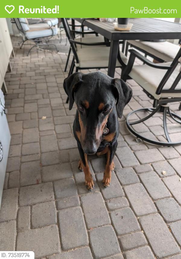Reunited Female Dog last seen Granite Reef & Osborn, Scottsdale, AZ 85251