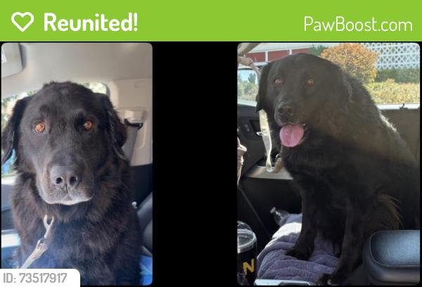 Reunited Male Dog last seen Lado De Loma, Vista, CA 92083