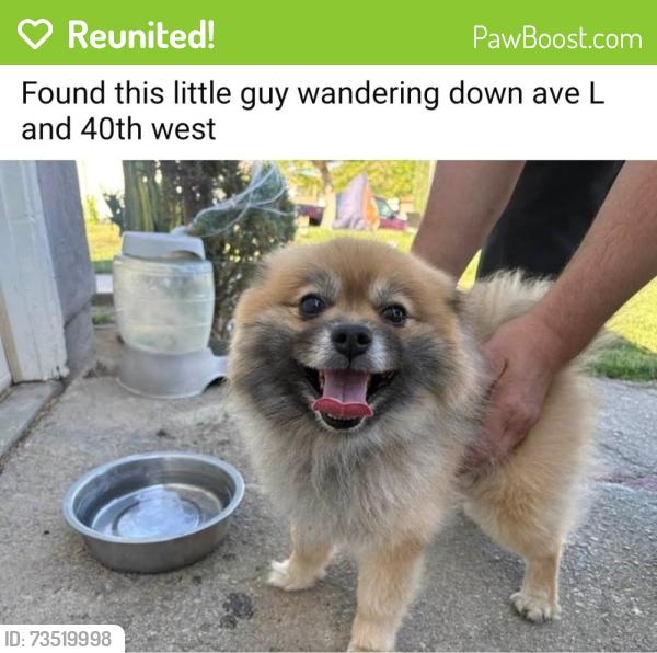 Reunited Unknown Dog last seen Near W Ave L, Lancaster, CA 93536, USA, Lancaster, CA 93536