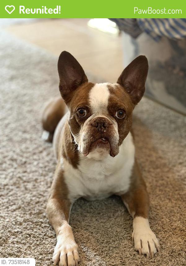 Reunited Male Dog last seen Near N Rutan Ave, Wichita, KS 67208, USA, Wichita, KS 67208