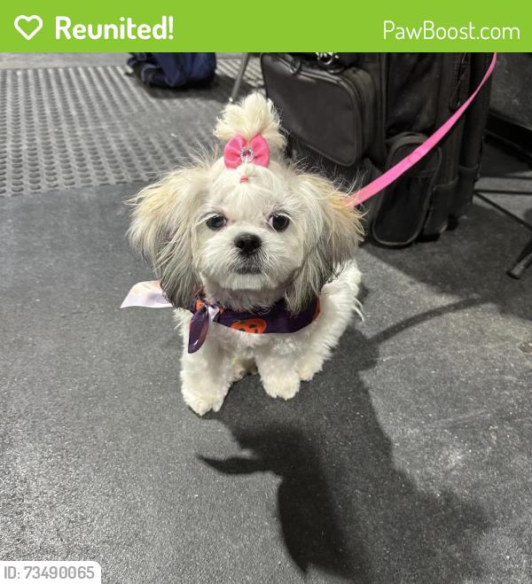 Reunited Female Dog last seen Bentsen Palm Drive and Mile 1 south rd Mission Tx 78572, Mission, TX 78572