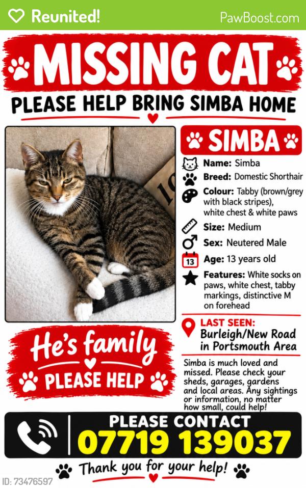 Reunited Male Cat last seen Kingston cemetery, Fratton, England PO1 5RL