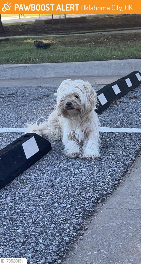 Found/Stray Male Dog last seen melrose lane, or Melrose Park, Oklahoma City, OK 73127