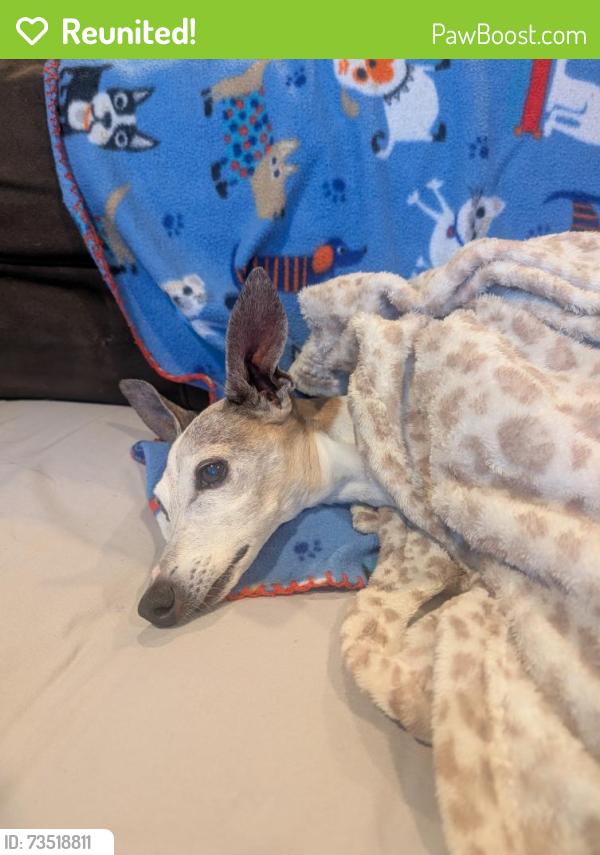 Reunited Male Dog last seen Near South and Redwood, 1175 West and 4505 South, Taylorsville, UT 84123