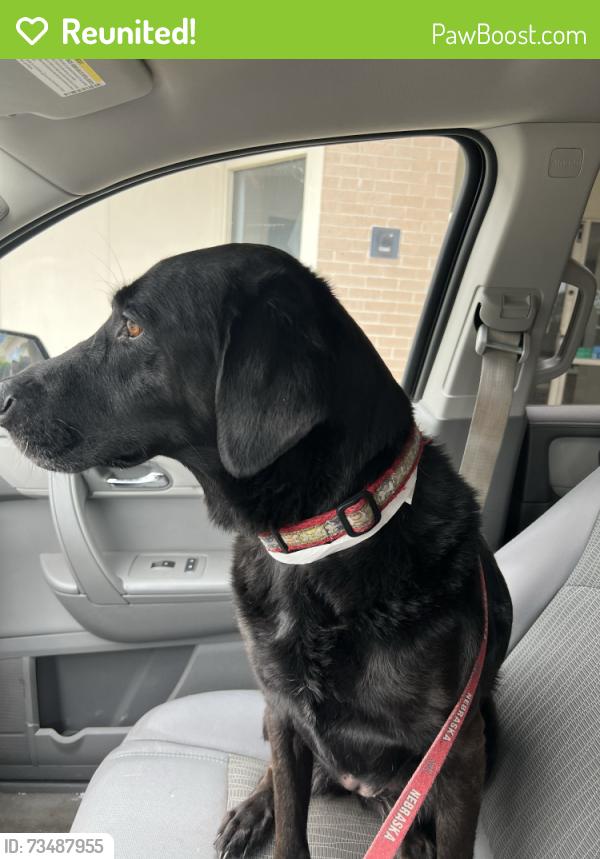 Reunited Female Dog last seen College blvd, Overland Park, KS 66210