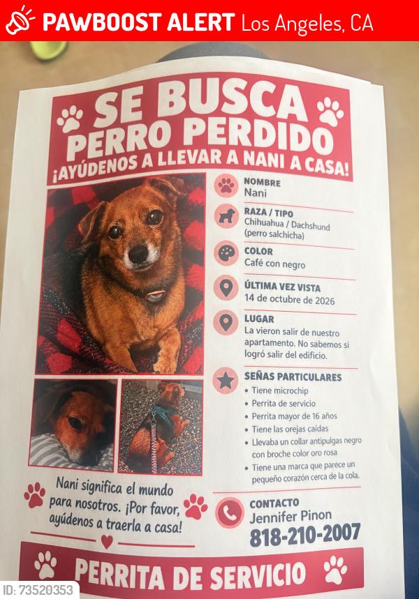 Lost Female Dog last seen Near van nuys and parthenia, Los Angeles, CA 91402