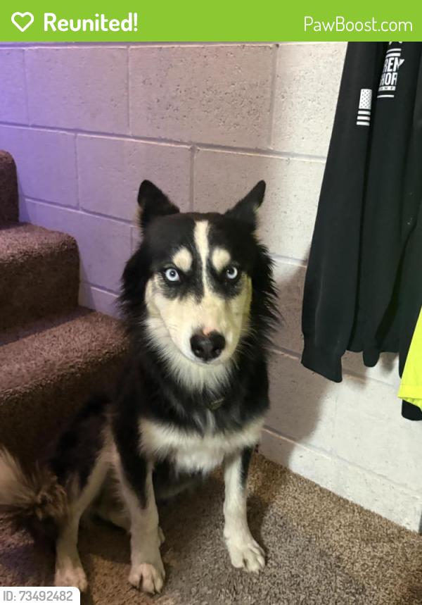 Reunited Male Dog last seen Sheep creek and Landero, Riverside, CA 92501