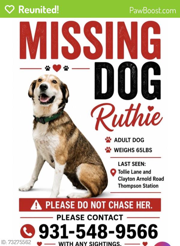 Reunited Female Dog last seen Tollie Ln, Thompson's Station, TN 37179, USA, Thompson's Station, TN 37179