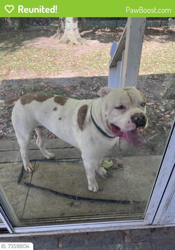 Reunited Male Dog last seen F Alex Nason Park, Willoughby, OH 44094