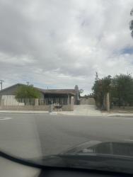 Found/Stray Unknown Dog last seen San eljay, Cathedral City, CA 92234