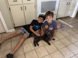 Lost Male Cat last seen 12th and 41st, Vero Beach, FL 32960