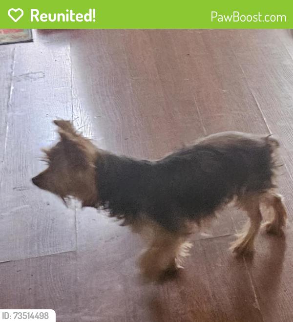 Reunited Male Dog last seen Richmond Road, Edmond, OK 73034