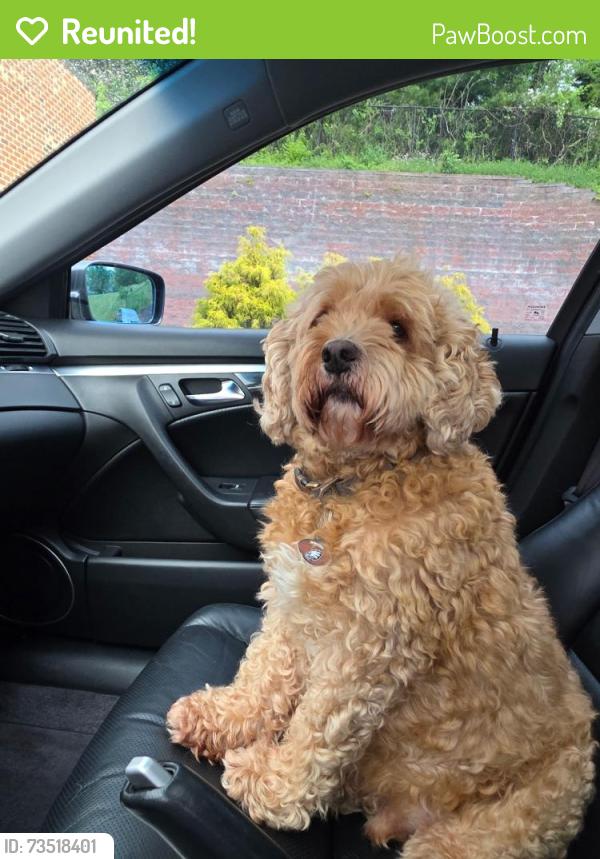 Reunited Male Dog last seen Near block of Lyters Lane across from Paxton Church of the Brethren, Harrisburg, PA 17111