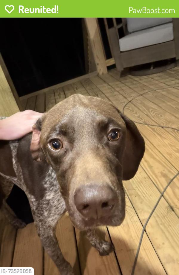 Reunited Male Dog last seen County road 689 and county road 659, Cleburne County, AL 36273