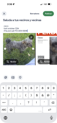 Lost Male Dog last seen Near morning meadow, Missouri City, TX 77489