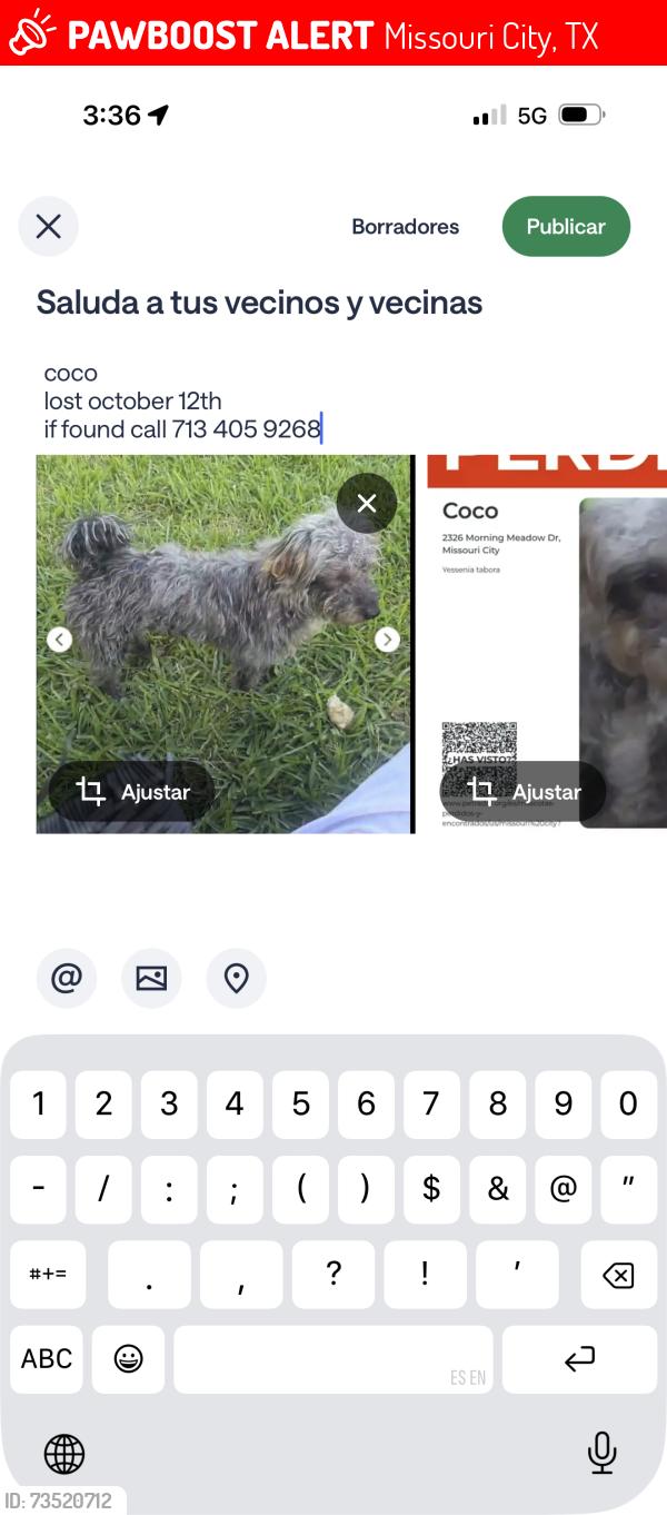 Lost Male Dog last seen Near morning meadow, Missouri City, TX 77489