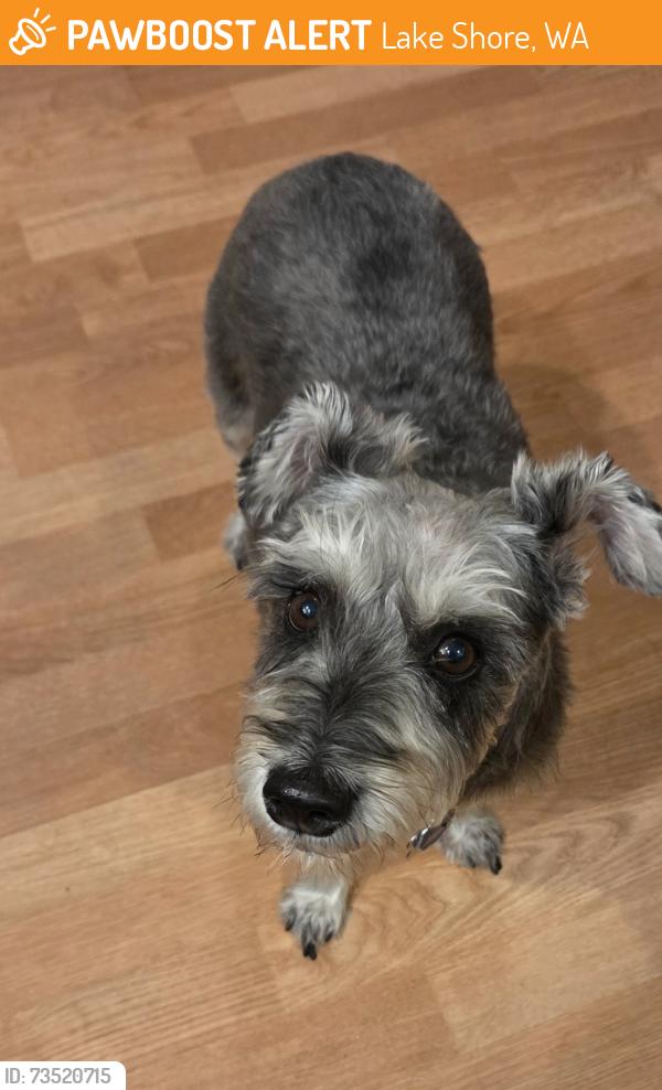 Found/Stray Unknown Dog last seen NW 88TH ST AND 21ST AVE 98665, Lake Shore, WA 98665