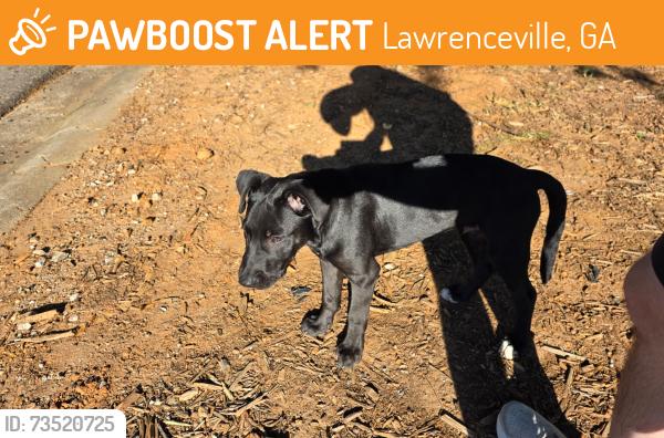Found/Stray Male Dog last seen Rhodes Jordan park, Lawrenceville, GA 30046