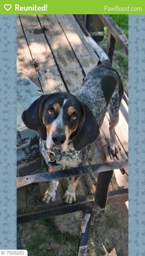 Reunited Female Dog last seen 45th & Miller Ave, Oklahoma City, OK 73119