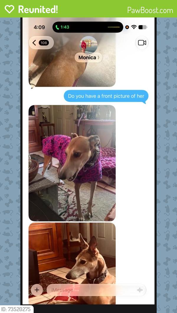 Reunited Female Dog last seen Cole St & Military, West Palm Beach, FL 33417
