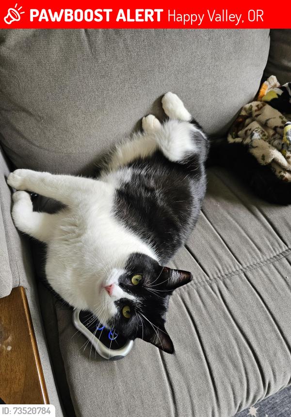 Lost Male Cat last seen Home, Happy Valley, OR 97086