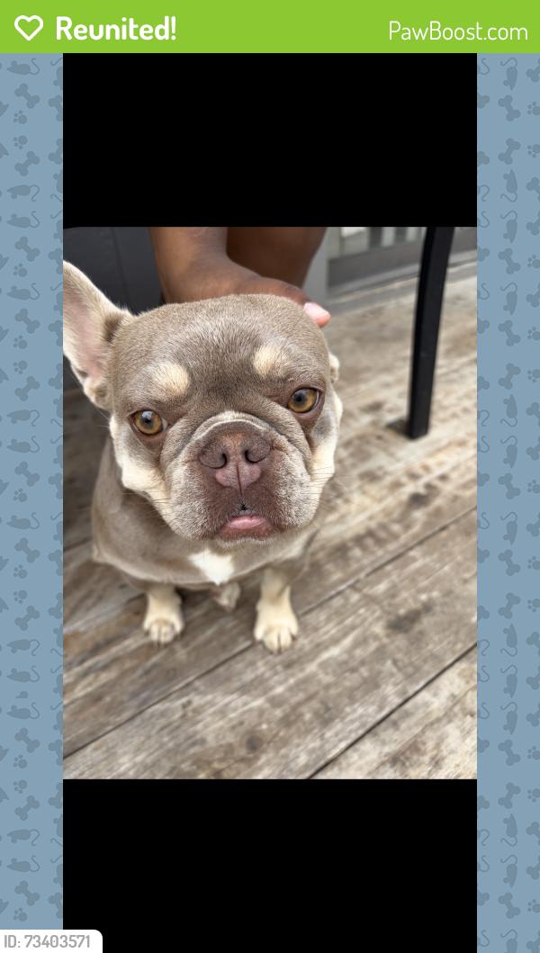 Reunited Female Dog last seen 13th and Maize, Wichita, KS 67212