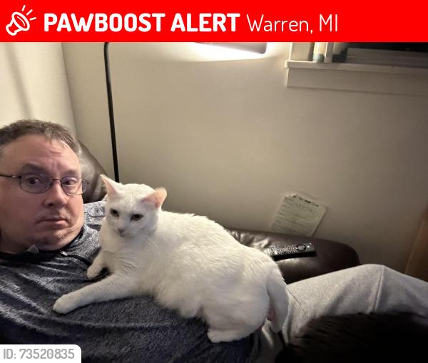 Lost Male Cat last seen Stephen’s and Wellington, Warren, MI 48089