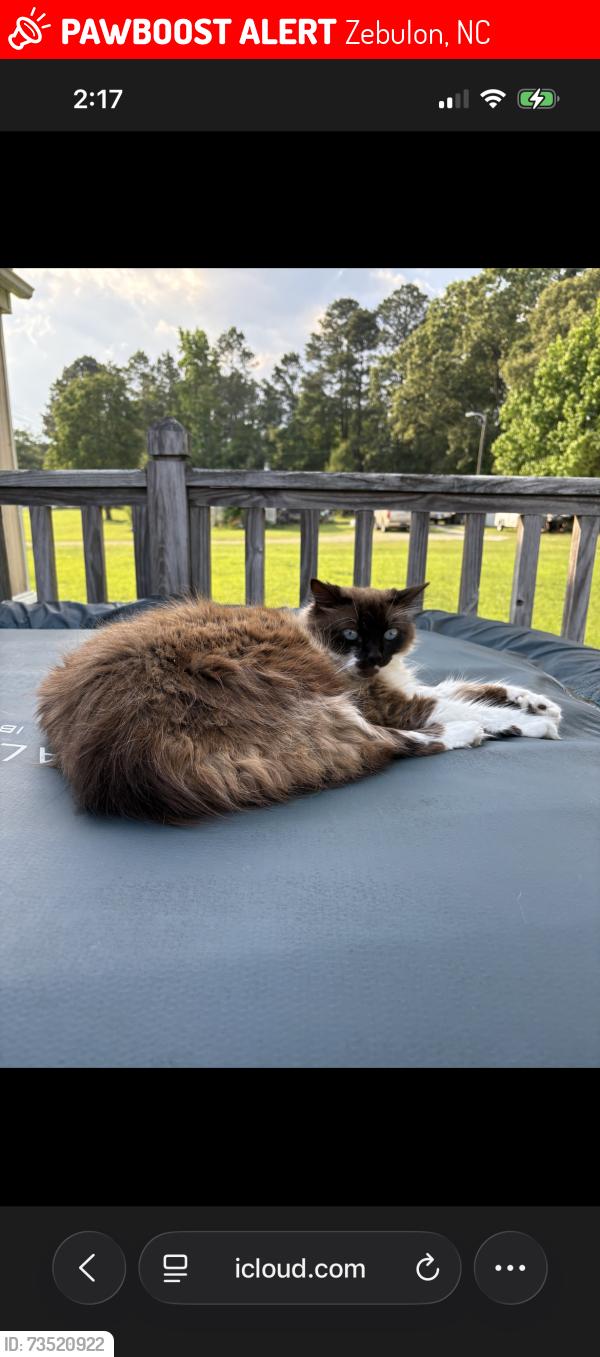 Lost Female Cat last seen Fowler road Mitchell mill road, Zebulon, NC 27597