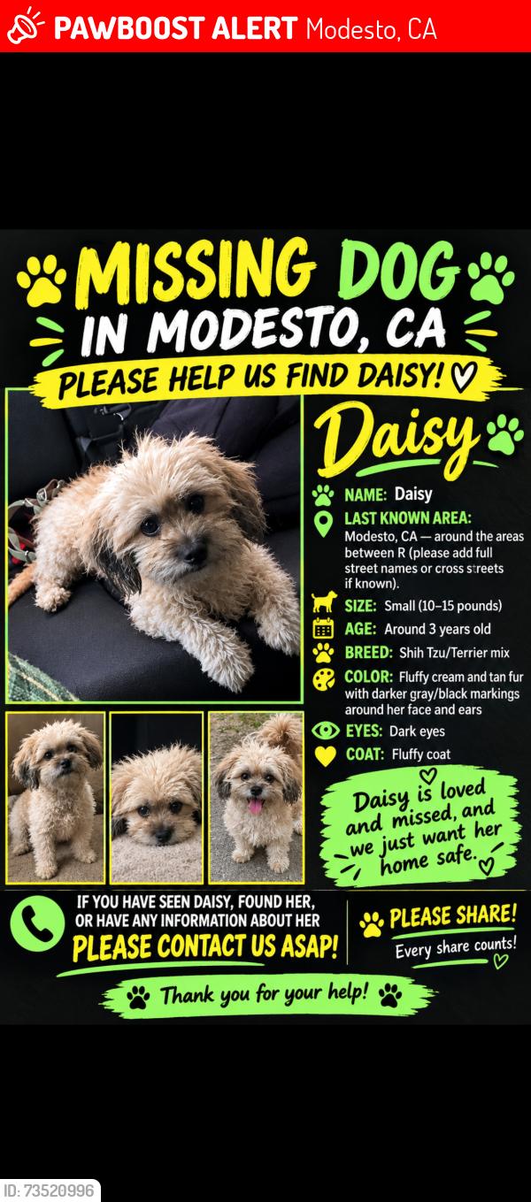 Lost Female Dog last seen Everett Elementary tully road and rumble, Modesto, CA 95350