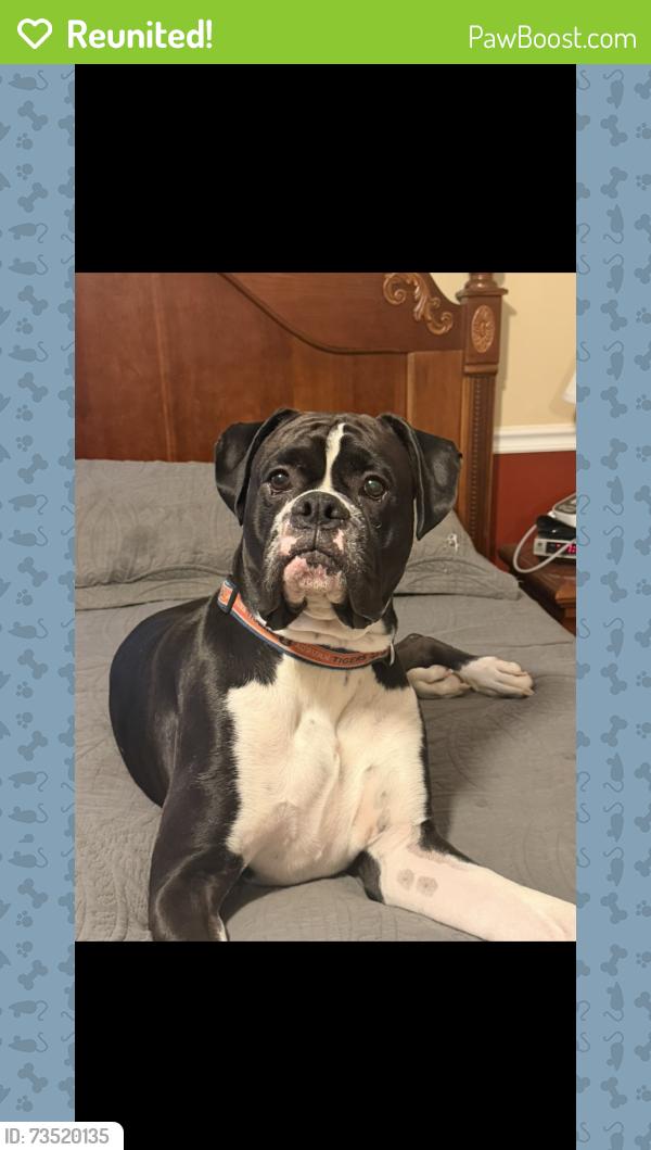 Reunited Male Dog last seen Pinecrest Drive, Floyd County, GA 30165