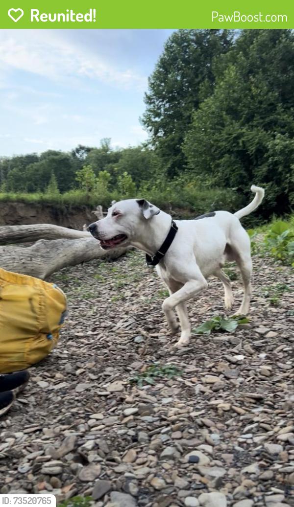 Reunited Male Dog last seen I-79, Get Go, Dairy Queen, Jefferson Ave, Washington, PA 15301