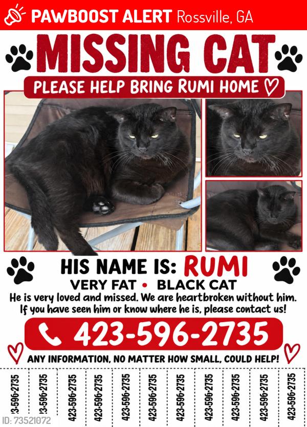Lost Male Cat last seen Rossville blvd, Rossville, GA 30741