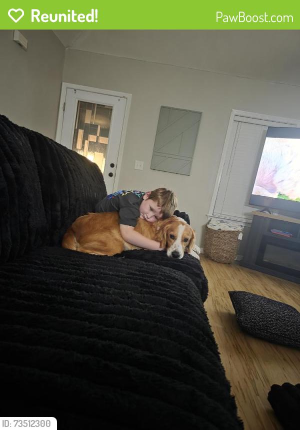 Reunited Male Dog last seen Sandy springs rd, Bonaire, GA 31005