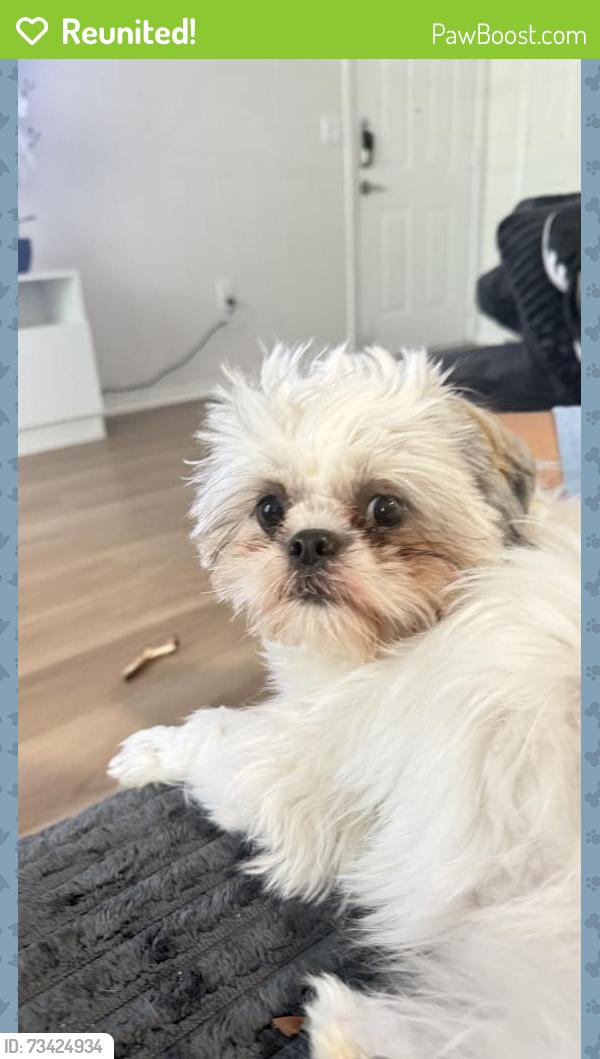 Reunited Female Dog last seen Austin Texas, Round Rock, TX 78664