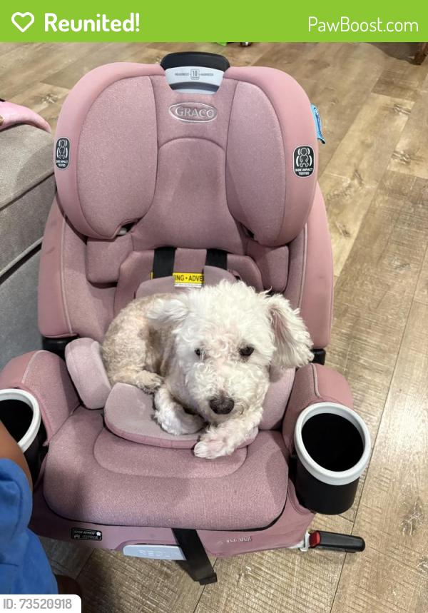 Reunited Male Dog last seen Bancroft drove, Spring Valley, CA 91977