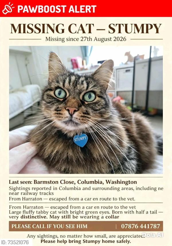 Lost Male Cat last seen Columbia court, washington, Tyne & Wear, Tyne and Wear, England NE38 7BP