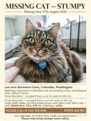Lost Male Cat last seen Columbia court, washington, Tyne & Wear, Tyne and Wear, England NE38 7BP