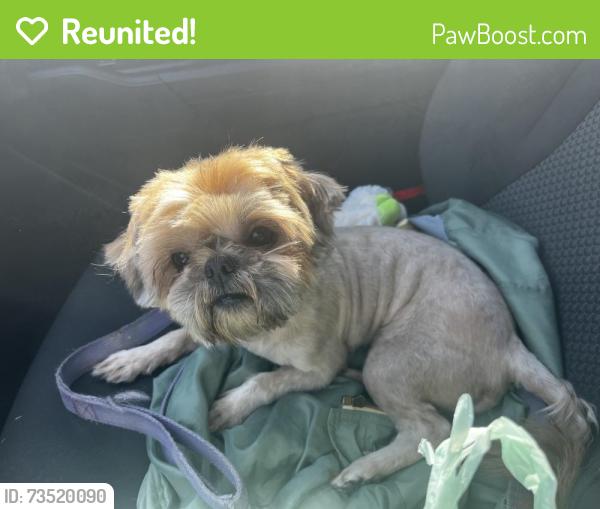 Reunited Female Dog last seen S. Heights, Crowley, TX 76036