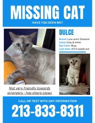 Lost Female Cat last seen Jame A. Garfield High School, East Los Angeles, CA 90022