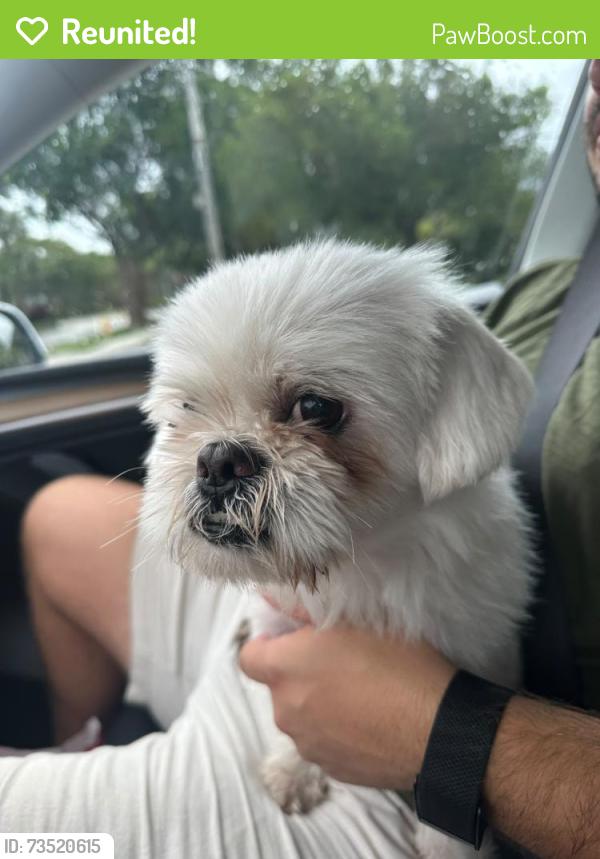 Reunited Male Dog last seen 23rd Street, Plantation, FL 33323