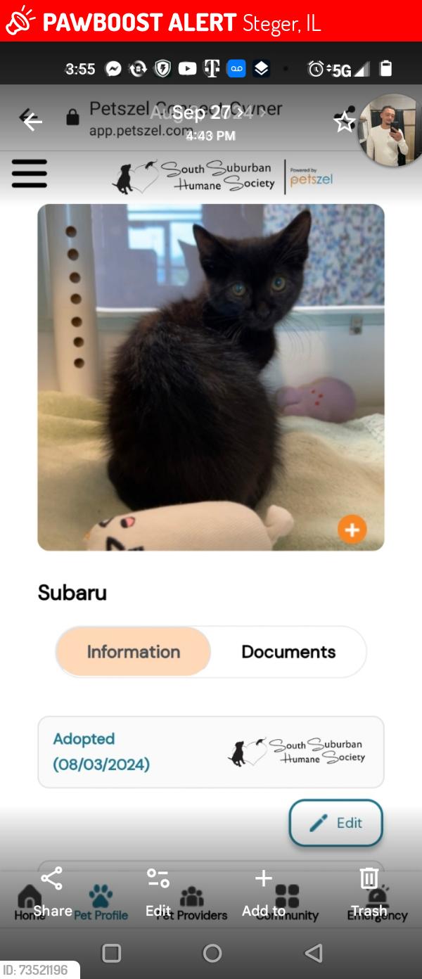 Lost Male Cat last seen Near Richton rd/,kings rd, Steger, IL 60475
