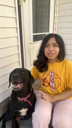 Lost Female Dog last seen Annapolis street, Saint Paul, MN 55118