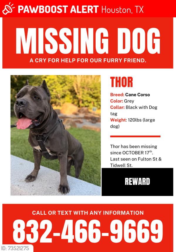 Lost Male Dog last seen fulton st. & tidwell rd., Houston, TX 77076