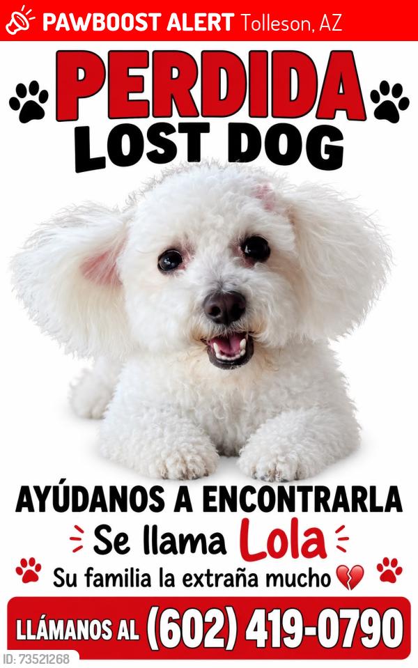 Lost Female Dog last seen 99th and broadway, Tolleson, AZ 85353